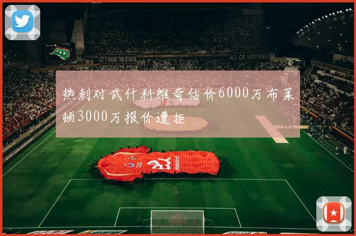 热刺对武什科维奇估价6000万布莱顿3000万报价遭拒