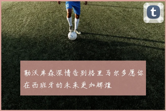 勒沃库森深情告别格里马尔多愿你在西班牙的未来更加辉煌